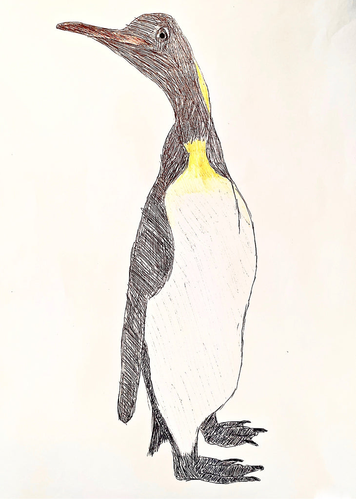 Humboldt Penguin Colour Pencil Drawing by Identra-Doodles on DeviantArt